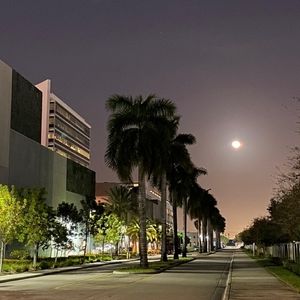 Meet your Posher, Igor